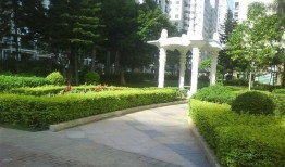 铜兴花园爆料最新消息今天,揭秘小区动态与神秘事件！